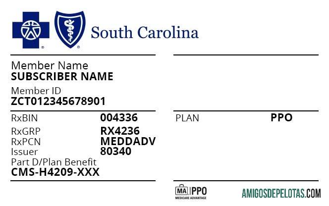 Cartão de seguro saúde da Carolina do Sul dos EUA baixar para verificação